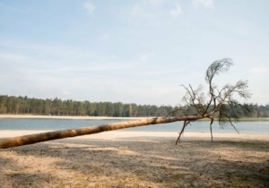 Nicole Rijkers Fotografie familie bruitloft portret henschotermeer (22)