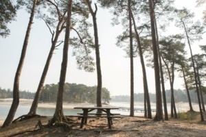 Nicole Rijkers Fotografie familie bruitloft portret henschotermeer (24)