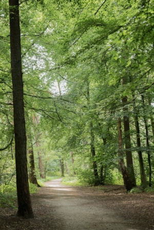 Nicole Rijkers fotografie Birkhoven (1)