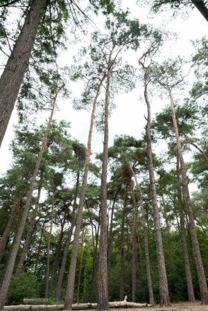 Nicole Rijkers fotografie Birkhoven (12)