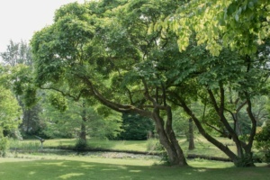 Nicole Rijkers fotografie Cantonspark (10)