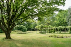 Nicole Rijkers fotografie Cantonspark (3)