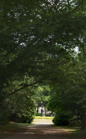 Nicole Rijkers fotografie Cantonspark (6)