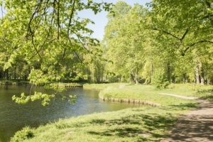 Nicole Rijkers fotografie Hoevelaken bos (11)