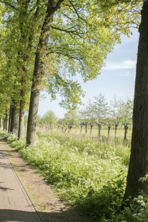 Nicole Rijkers fotografie Hoevelaken bos (3)