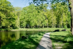 Nicole Rijkers fotografie Hoevelaken bos (4)