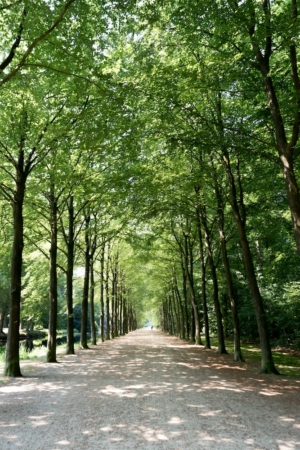 Nicole Rijkers fotografie Kasteel Groeneveld Baarn (1)