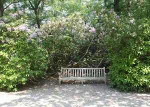 Nicole Rijkers fotografie Kasteel Groeneveld Baarn (11)