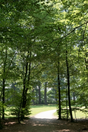 Nicole Rijkers fotografie Kasteel Groeneveld Baarn (13)