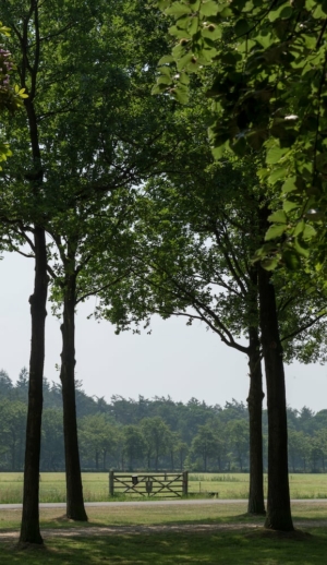 Nicole Rijkers fotografie Kasteel Groeneveld Baarn (18)