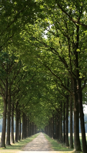 Nicole Rijkers fotografie Kasteel Groeneveld Baarn (19)