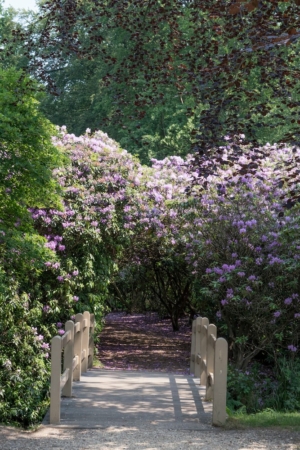 Nicole Rijkers fotografie Kasteel Groeneveld Baarn (20)