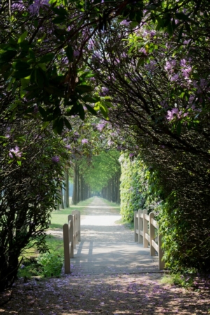 Nicole Rijkers fotografie Kasteel Groeneveld Baarn (21)