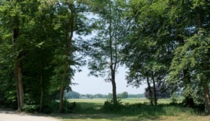 Nicole Rijkers fotografie Kasteel Groeneveld Baarn (4)