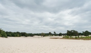 Nicole Rijkers fotografie Lange duinen Soest (1)