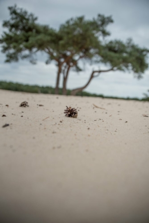 Nicole Rijkers fotografie Lange duinen Soest (10)