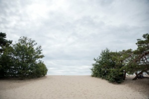 Nicole Rijkers fotografie Lange duinen Soest (12)