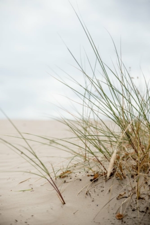 Nicole Rijkers fotografie Lange duinen Soest (13)