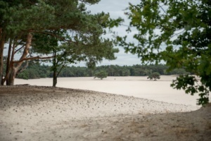 Nicole Rijkers fotografie Lange duinen Soest (14)