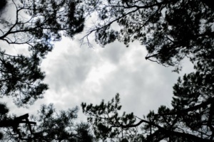 Nicole Rijkers fotografie Lange duinen Soest (15)