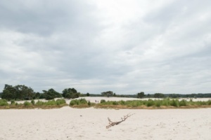 Nicole Rijkers fotografie Lange duinen Soest (2)