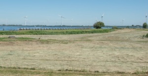 Nicole Rijkers fotografie Palendijk Bunschoten Spakenburg (1)