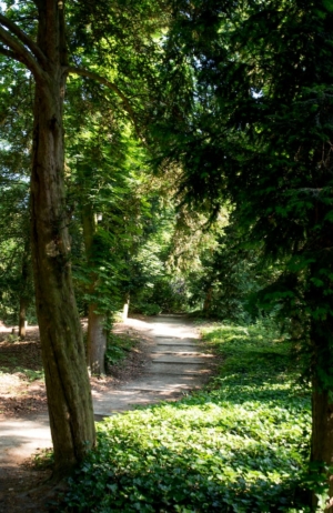 Nicole Rijkers fotografie Park Randenbroek Amersfoort (10)