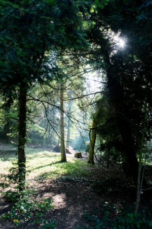 Nicole Rijkers fotografie Park Randenbroek Amersfoort (12)