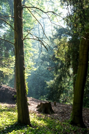 Nicole Rijkers fotografie Park Randenbroek Amersfoort (13)