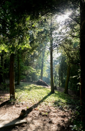 Nicole Rijkers fotografie Park Randenbroek Amersfoort (15)