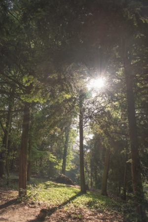 Nicole Rijkers fotografie Park Randenbroek Amersfoort (16)