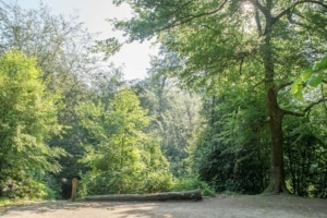 Nicole Rijkers fotografie Park Randenbroek Amersfoort (17)