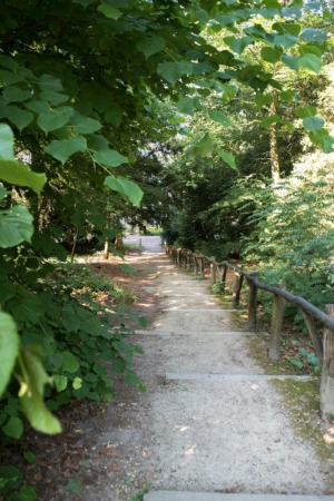 Nicole Rijkers fotografie Park Randenbroek Amersfoort (18)