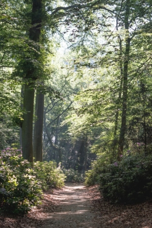 Nicole Rijkers fotografie Park Randenbroek Amersfoort (20)