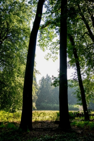 Nicole Rijkers fotografie Park Randenbroek Amersfoort (23)