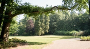 Nicole Rijkers fotografie Park Randenbroek Amersfoort (25)