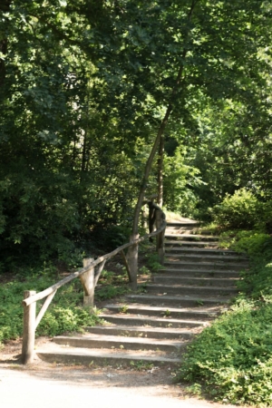 Nicole Rijkers fotografie Park Randenbroek Amersfoort (3)