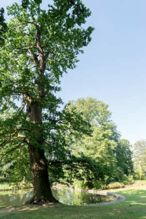 Nicole Rijkers fotografie Park Randenbroek Amersfoort (9)