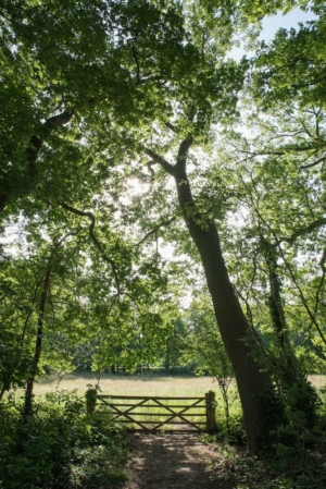 Nicole Rijkers fotografie Park Schothorst Amersfoort (13)