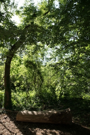 Nicole Rijkers fotografie Park Schothorst Amersfoort (15)