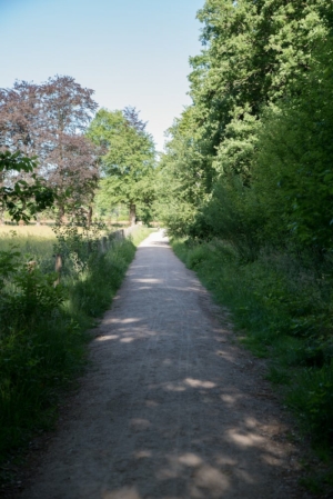 Nicole Rijkers fotografie Park Schothorst Amersfoort (16)