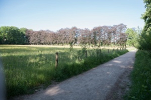 Nicole Rijkers fotografie Park Schothorst Amersfoort (17)