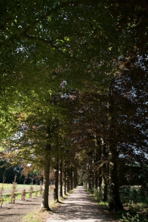 Nicole Rijkers fotografie Park Schothorst Amersfoort (21)