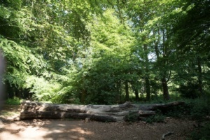 Nicole Rijkers fotografie Park Schothorst Amersfoort (27)