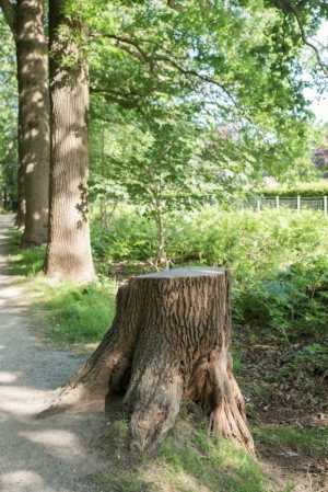 Nicole Rijkers fotografie Park Schothorst Amersfoort (28)