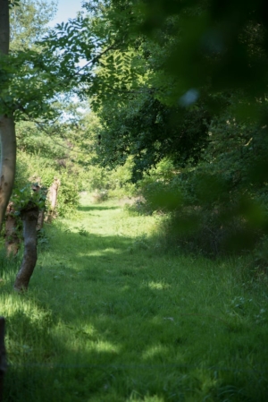 Nicole Rijkers fotografie Park Schothorst Amersfoort (29)