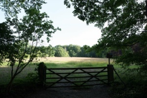 Nicole Rijkers fotografie Park Schothorst Amersfoort (3)