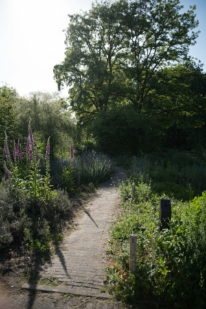 Nicole Rijkers fotografie Park Schothorst Amersfoort (33)