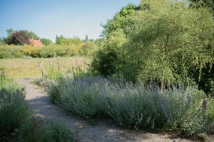 Nicole Rijkers fotografie Park Schothorst Amersfoort (36)