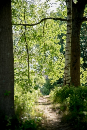 Nicole Rijkers fotografie Park Schothorst Amersfoort (38)